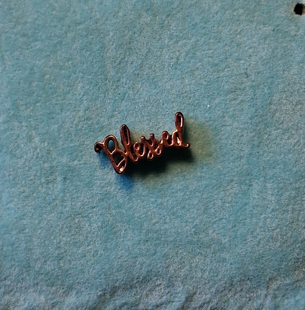 Rose Gold 'Blessed' Origami Owl Charm